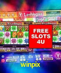 Interface moderna da plataforma winpix